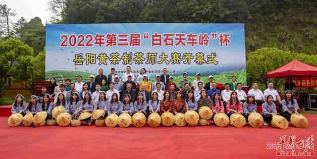 茶香縈繞天車嶺 高手對決白石園 岳陽市第三屆黃茶制茶師大賽在白石茶園開幕