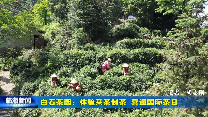 《臨湘新聞》2024年5月15日