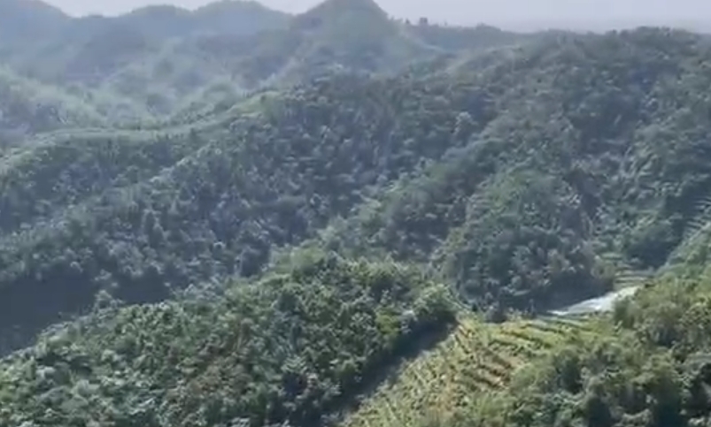 云山溪水視頻 || 大美白石園 茶葉貢京城