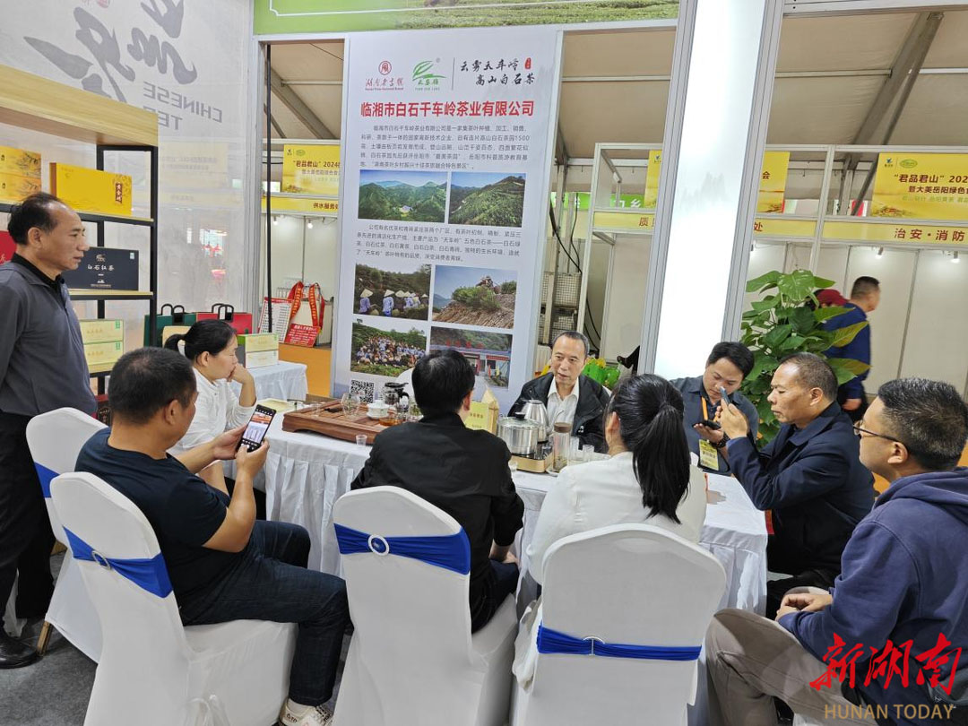 白石名茶閃耀岳陽茶博會，芬芳滿座迎八方來客