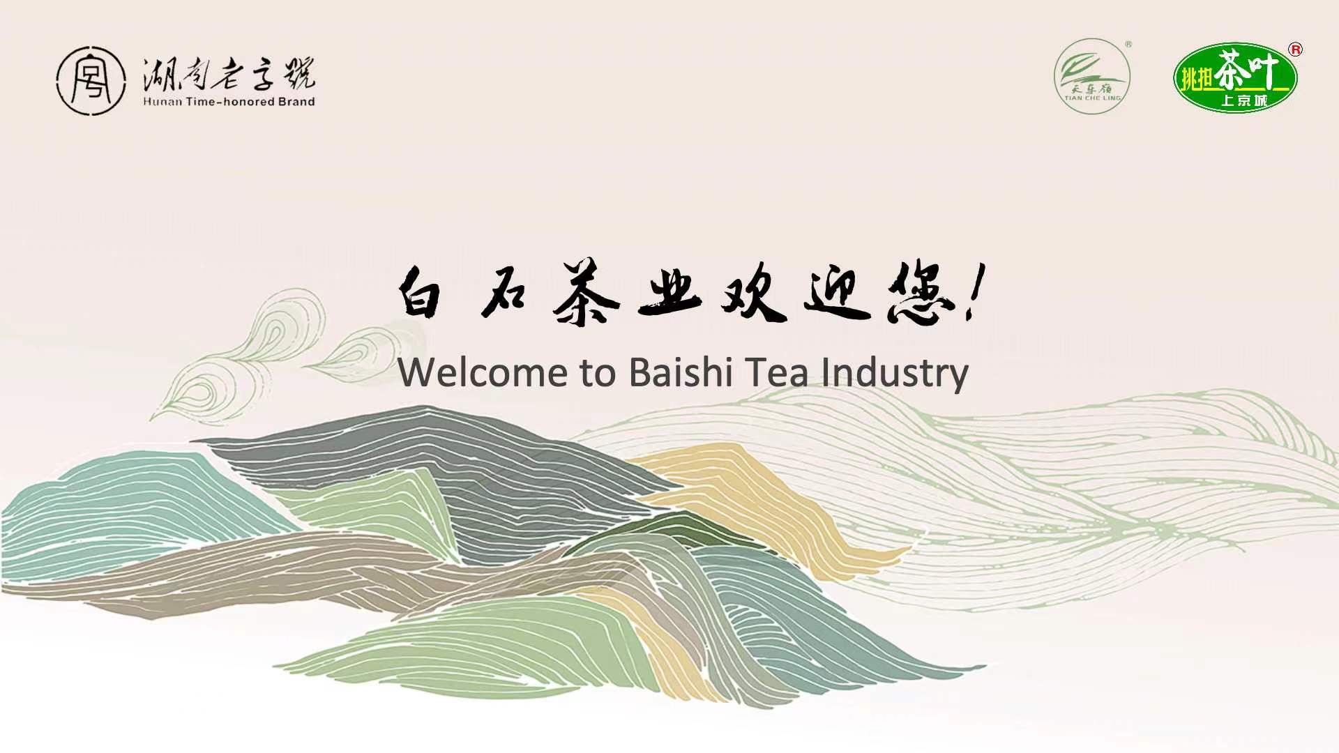 致敬巾幗力量 繽紛茶旅融合——白石茶園“三八”節(jié)主題活動掠影