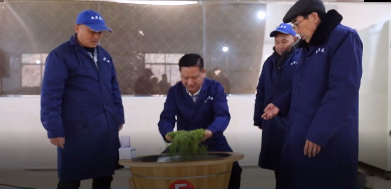 非遺傳承守匠心，白石茶香續(xù)千年 ——臨湘白石千車嶺茶業(yè)以匠心鑄就非遺茗茶